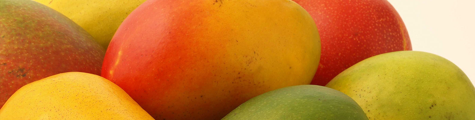 Mango Tommy Atkins