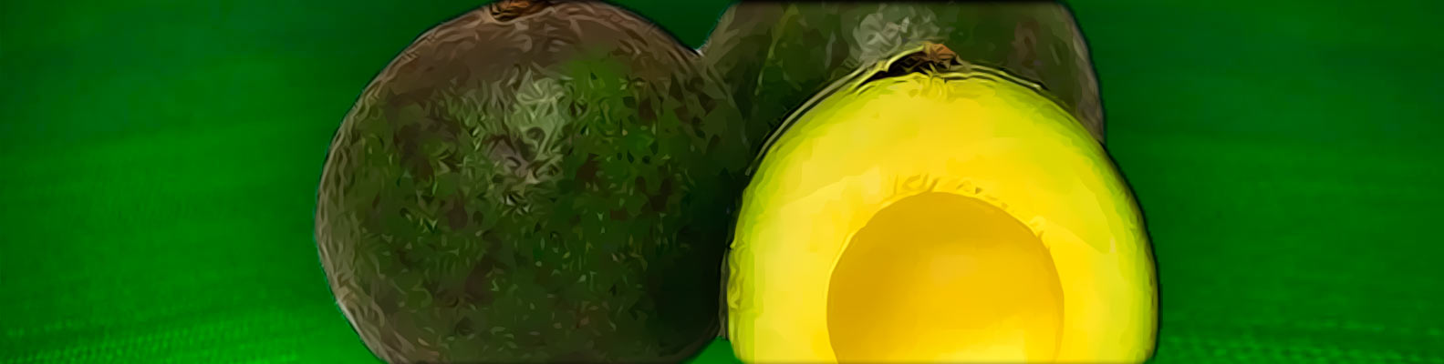 Aguacate Reed