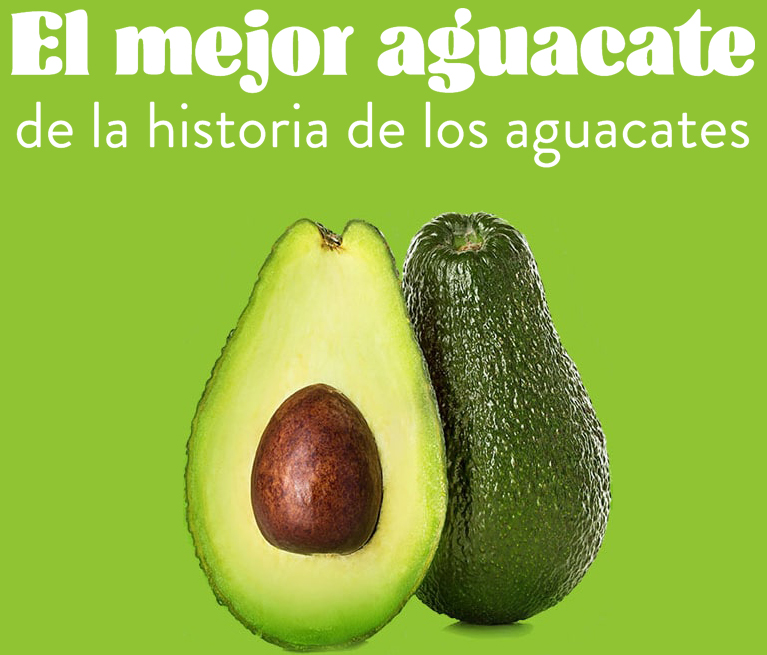 El mejor aguacate de la historia de los aguacates