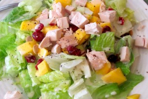 Ensalada-de-Mango-y-Pollo-