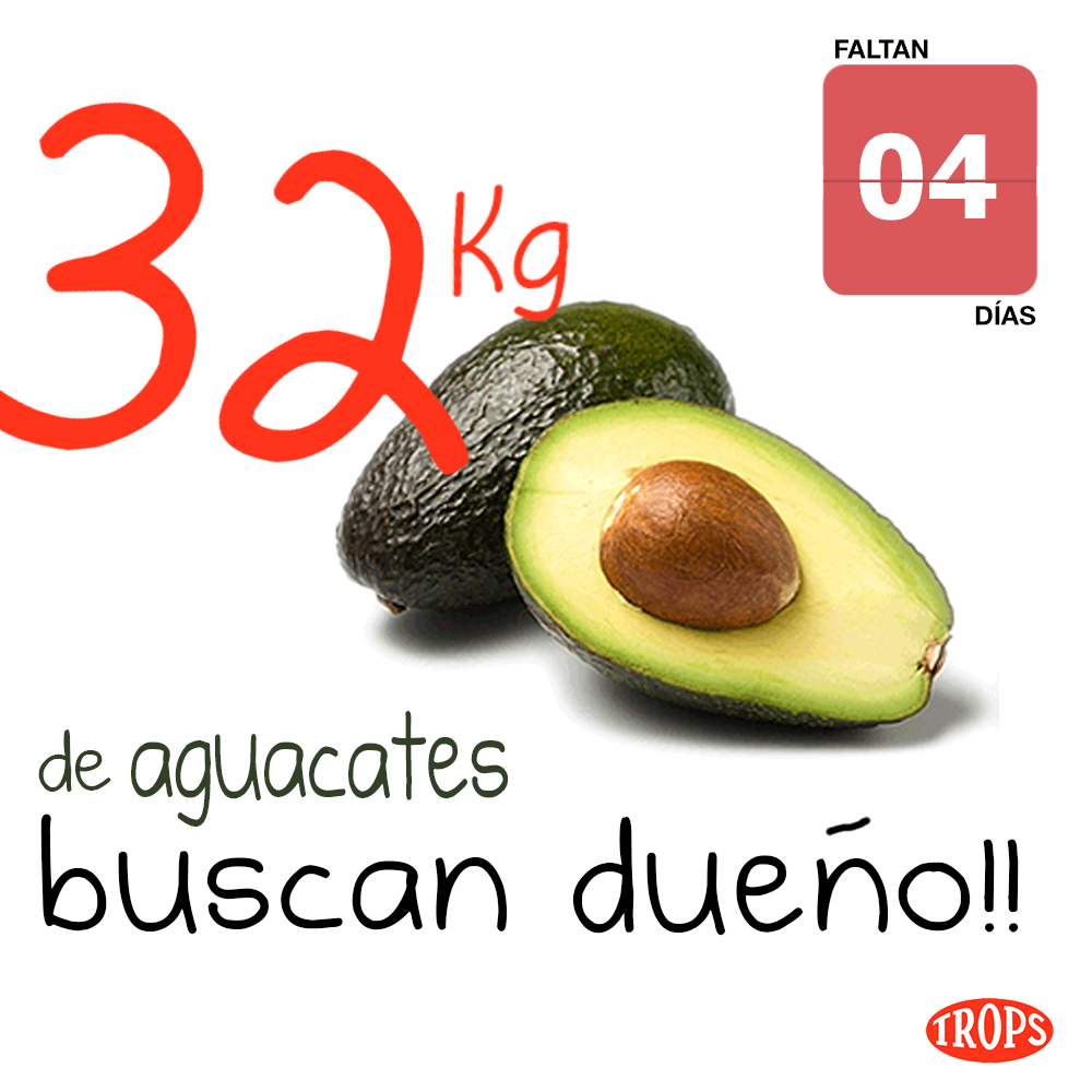 32 kg de aguacate buscan dueño