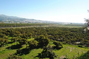 Panorámica Vélez con plantación aguacate Trops