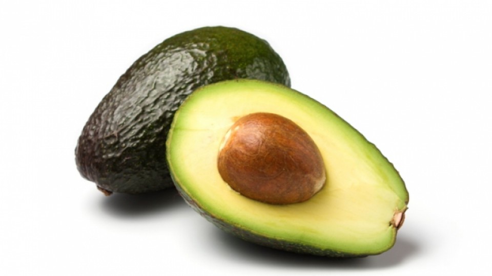 Lipidos del aguacatero Lipidos del aguacatero
