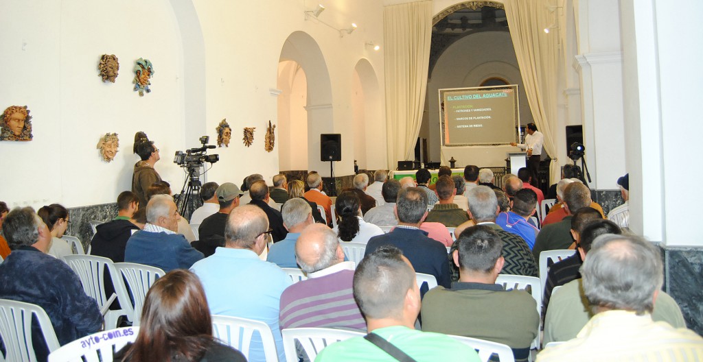 Ponencia sobre cultivo del aguacate