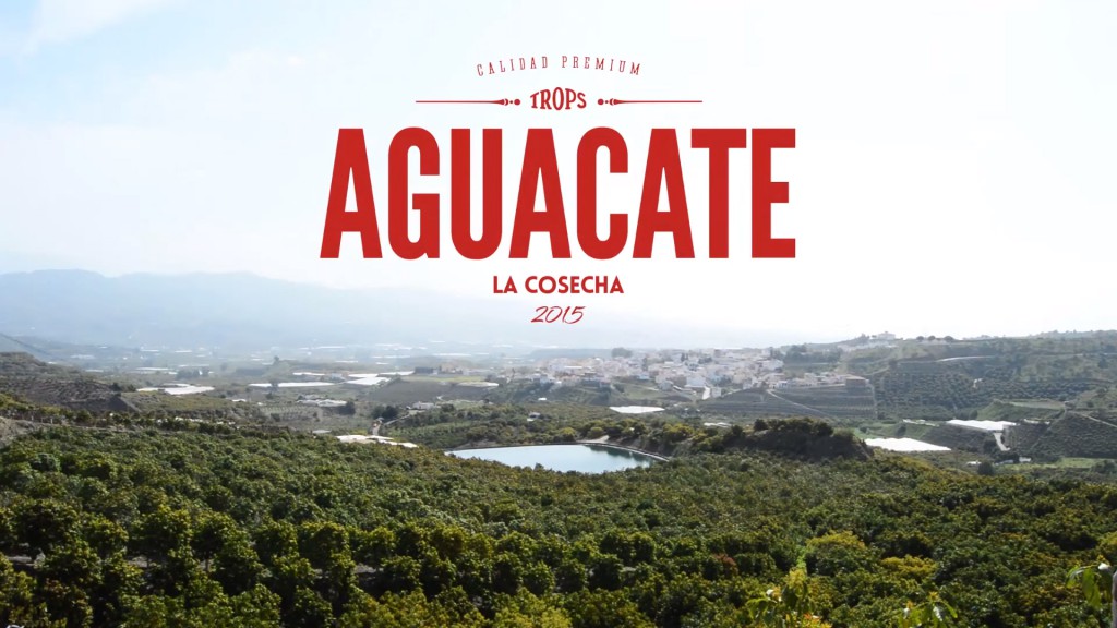 Trops Cosecha Aguacate Hass 2015