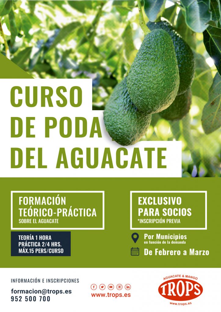 CARTEL-CURSO---PODA-DEL-AGUACATE-feb